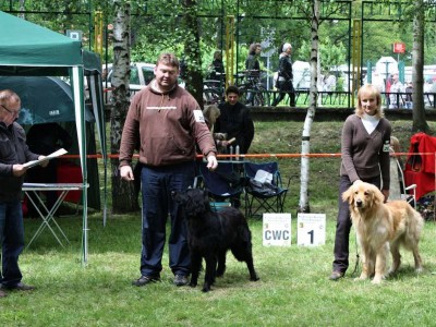 S úspěšnou Apis Black Prim.