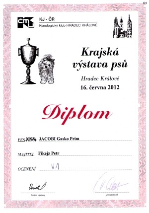 diplom-kvp-hk.jpg