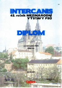 2011-06-26-intercanis-brno---diplom.jpg