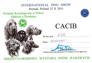 2011-10-22-mvp-poznan---cacib.jpg