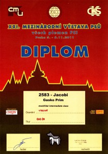 2011-11-06-mvp-praha-letnany---diplom.jpg